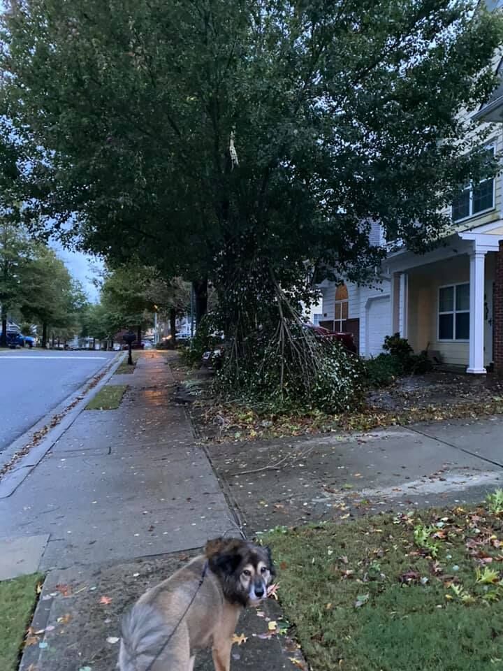 Tropical_Storm_Zeta18.jpg
